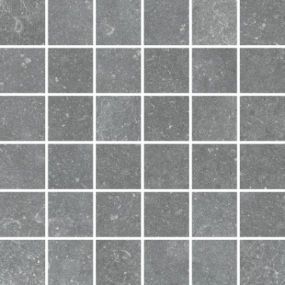   Aquaviva Granito Gray, 300x300x9.2 