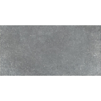    Aquaviva Granito Gray, 297x597x9