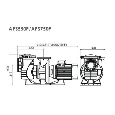    Emaux APS550P (380, 753/, 5.5HP)